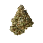 Super Buff Cherry