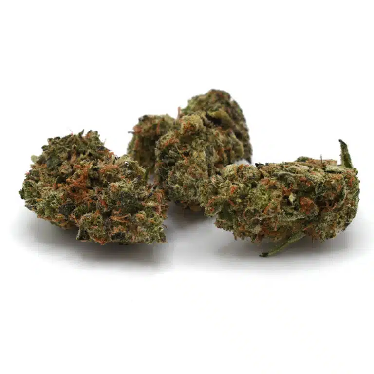 Black Tuna (AAA)