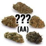 1 Pack Mystery Strain (AA)
