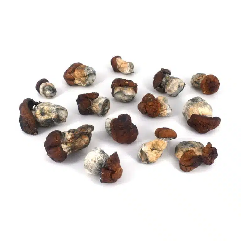 Penis Envy Dino Eggs